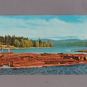 Vintage Postcard - Log Booming Salmon Arm British Columbia - Pacific Colour